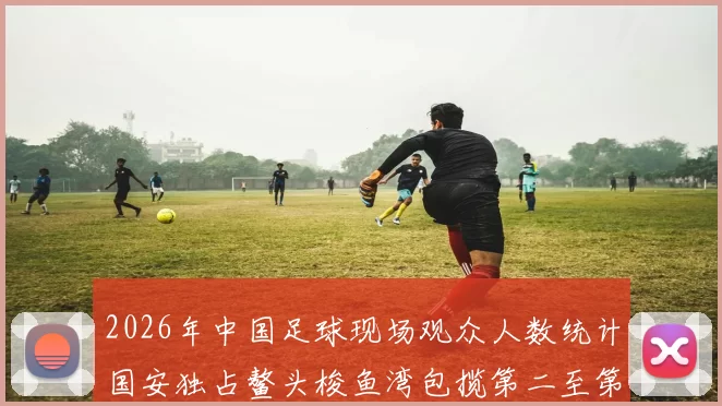 2026年中国足球现场观众人数统计国安独占鳌头梭鱼湾包揽第二至第七位