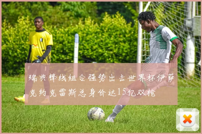 瑞典锋线组合强势出击世界杯伊萨克约克雷斯总身价达15亿双枪